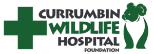 Partner of Currumbin Wildlife Hospital