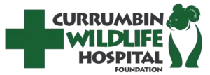 ProtectInsure - Currumbin Wildlife Hospital Partner (1)